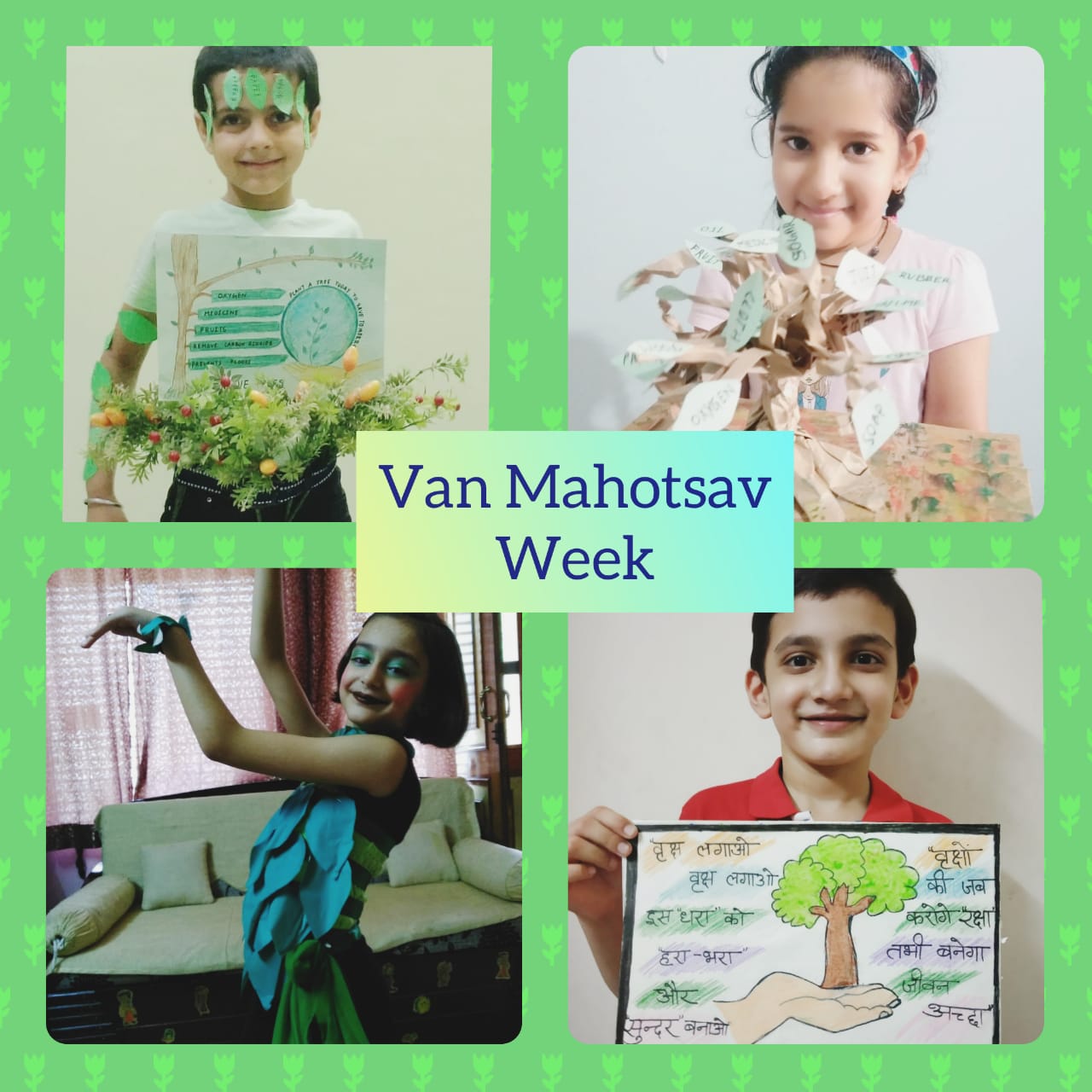 Van Mahotsav Celebrations